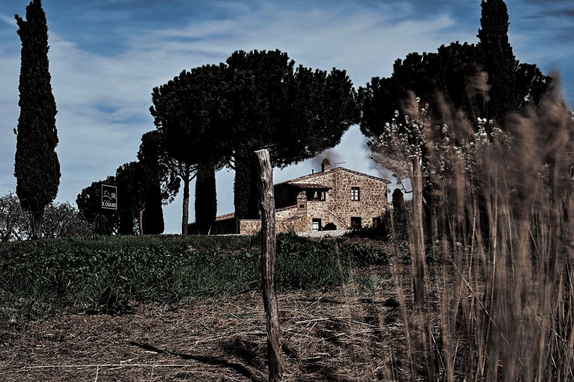 Agriturismo Il Casalino Pienza Dış mekan fotoğraf