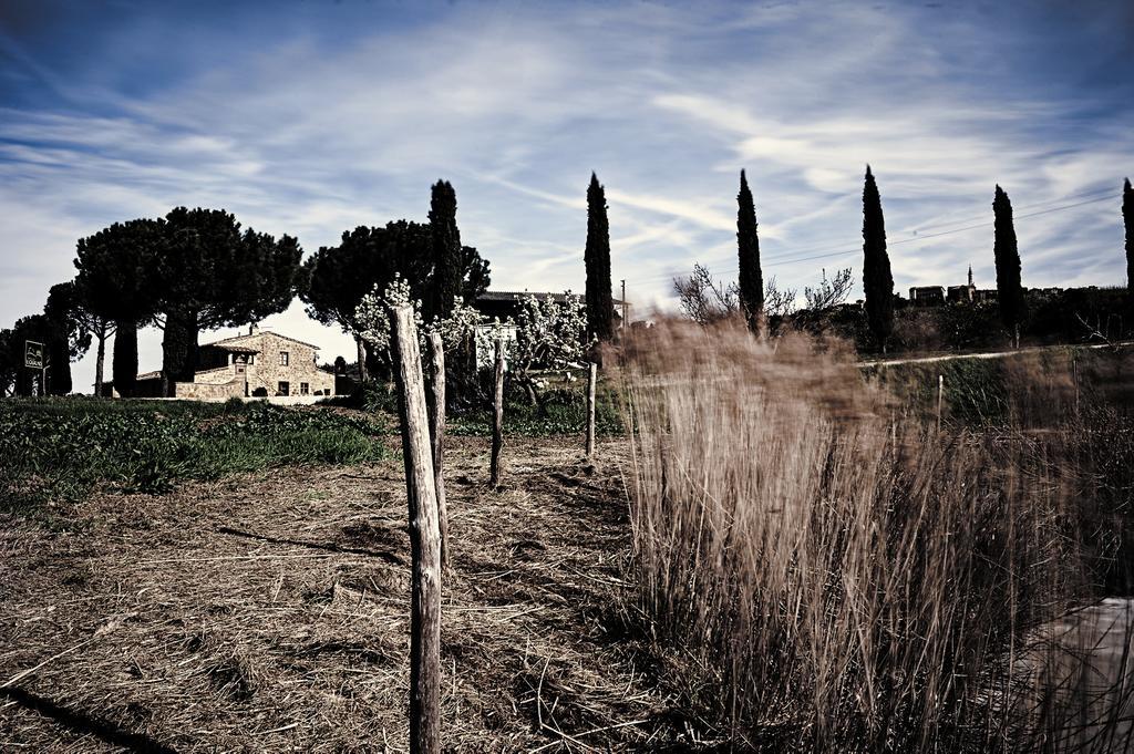 Agriturismo Il Casalino Pienza Dış mekan fotoğraf