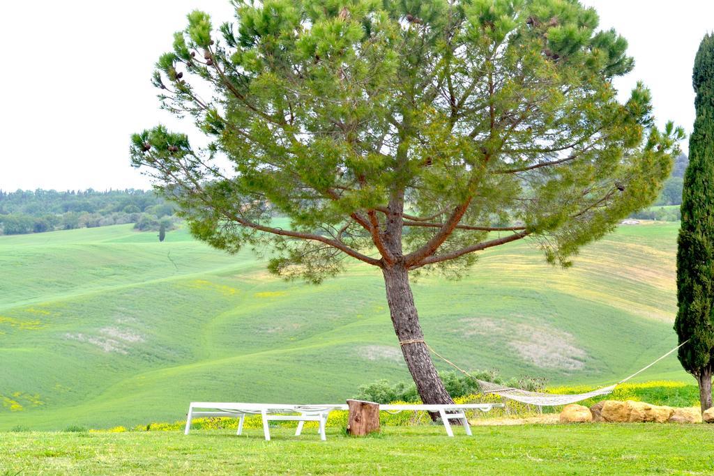 Agriturismo Il Casalino Pienza Dış mekan fotoğraf