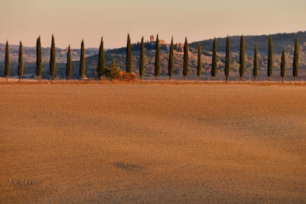 Agriturismo Il Casalino Pienza Dış mekan fotoğraf
